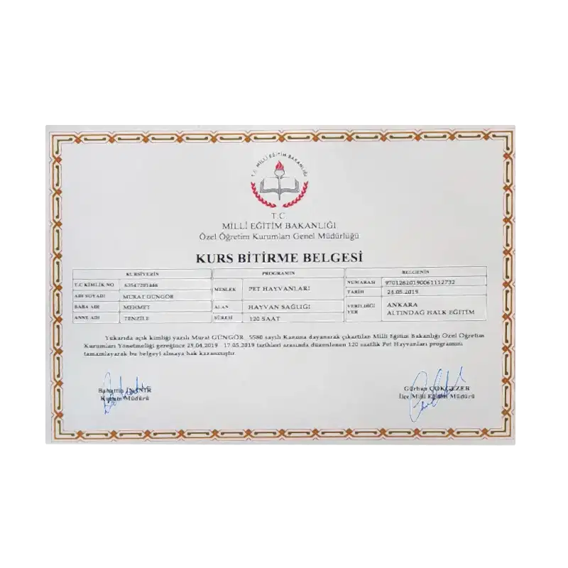 Murat Güngör Kimdir? 4 Müşteri Logosu