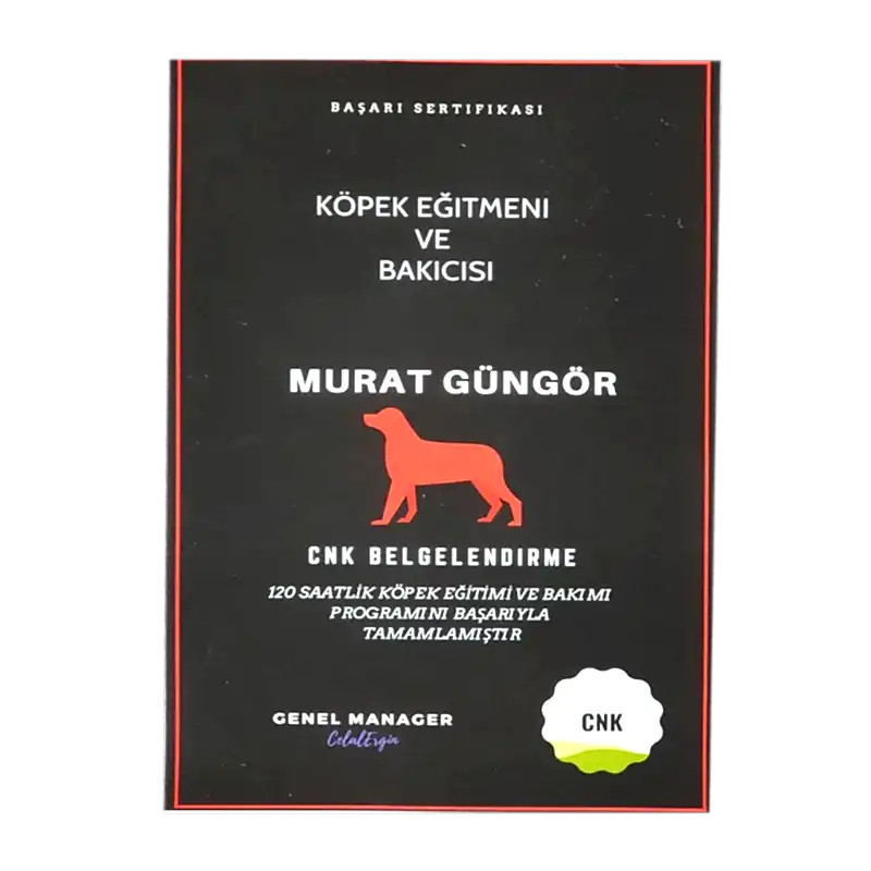 Murat Güngör Kimdir? 1 Müşteri Logosu