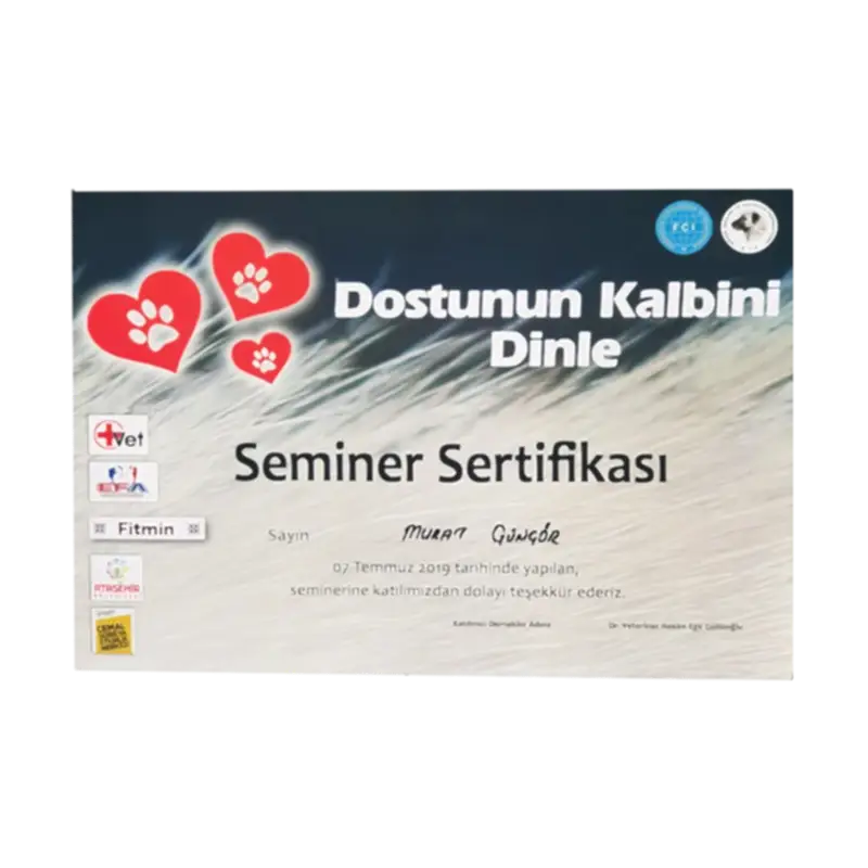Murat Güngör Kimdir? 5 Müşteri Logosu