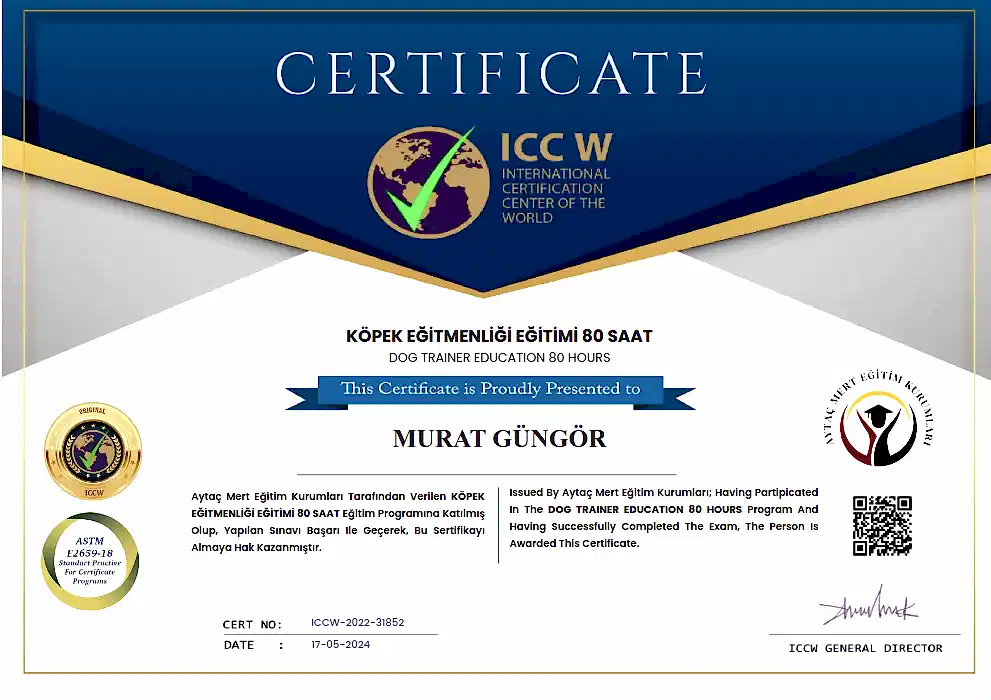 Murat Güngör Kimdir? 6 Müşteri Logosu